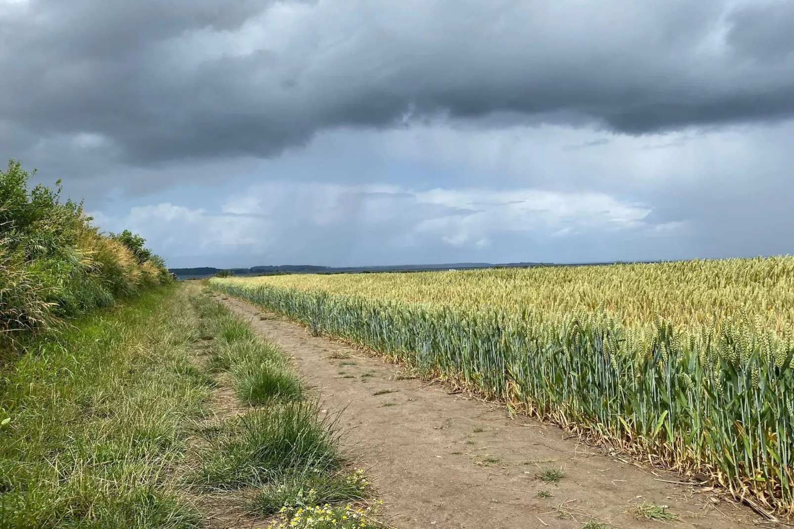 5 sterren vakantie huis in Henne-Buitenlucht