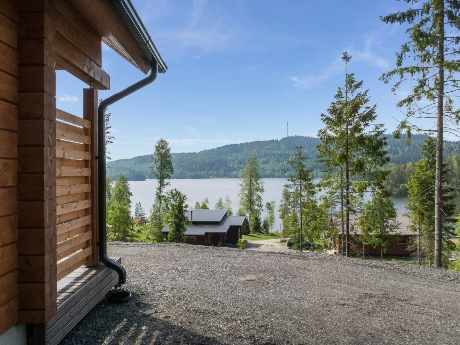 Kolin kangastus metsätähti 2