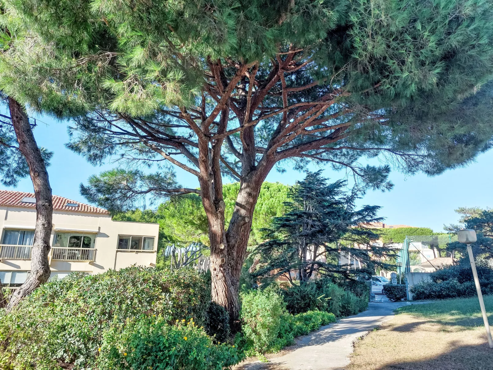 Les Marines d'Aryana-Buiten