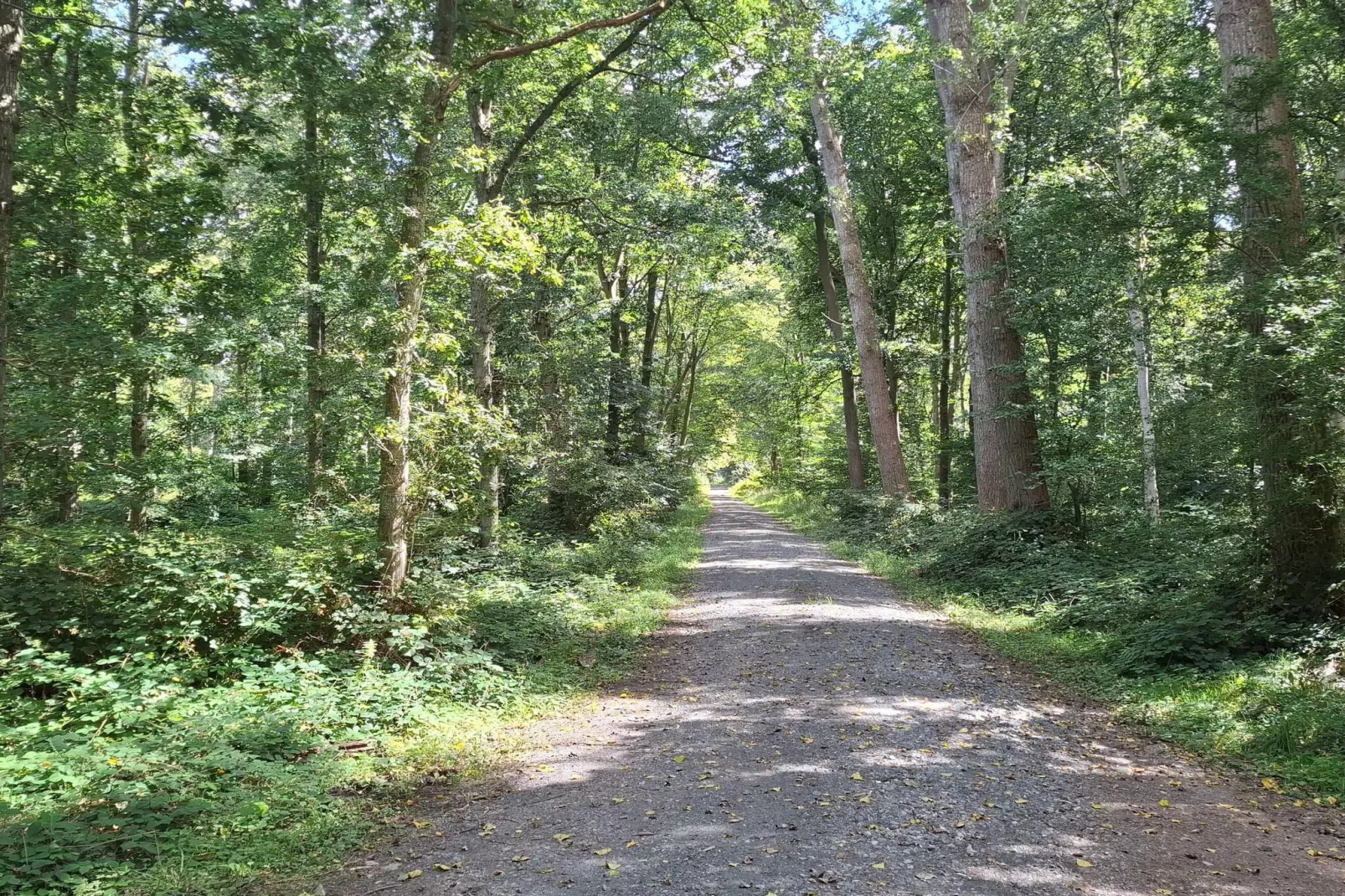 5 Personen vakantie huis in Nakskov-Niet-getagd