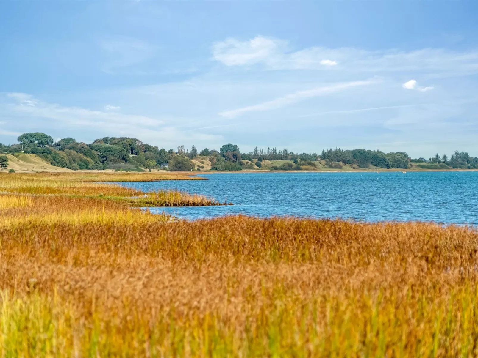 "Devis" -  from the sea