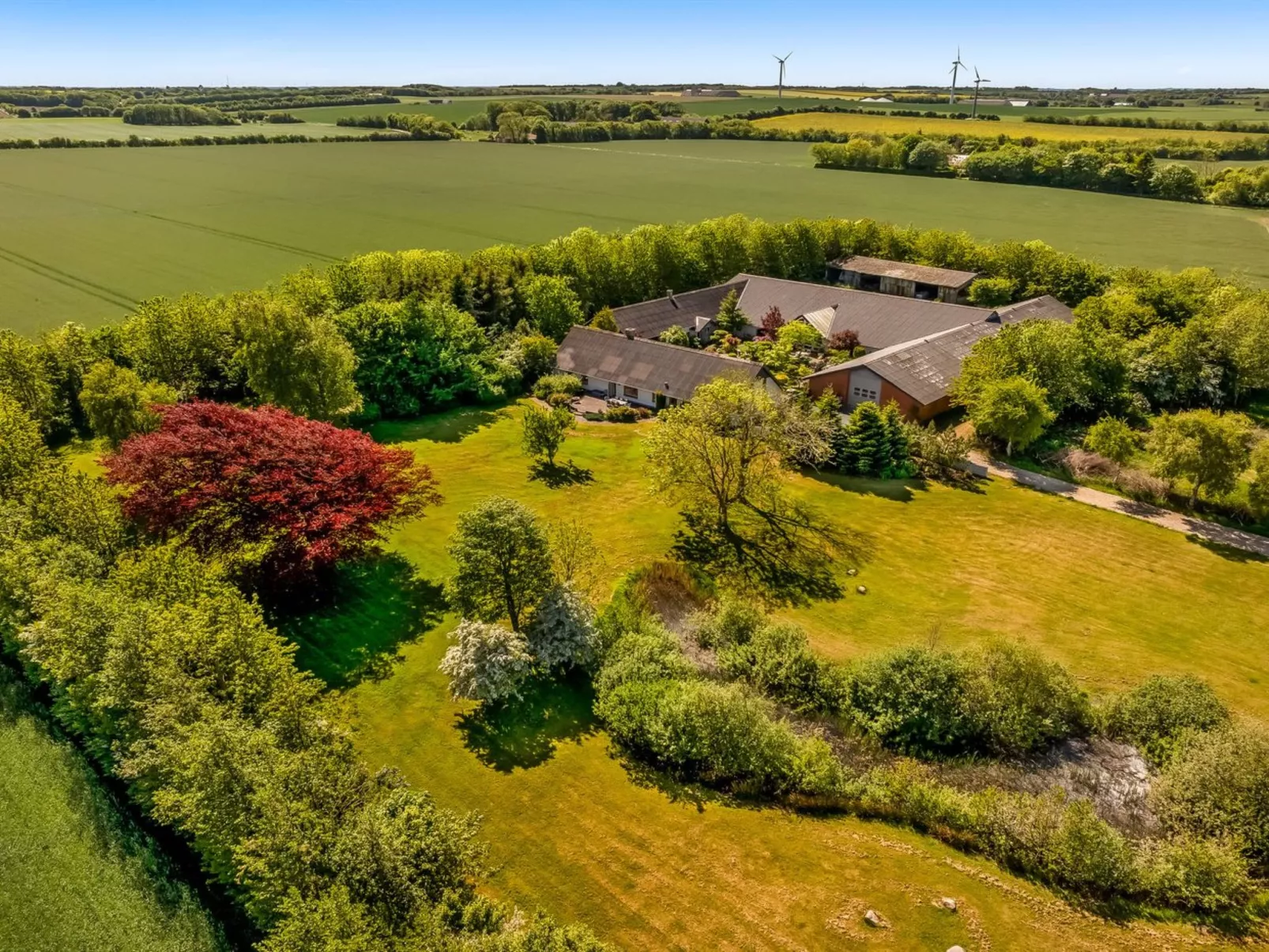 "Elia" - 5km to the fjord