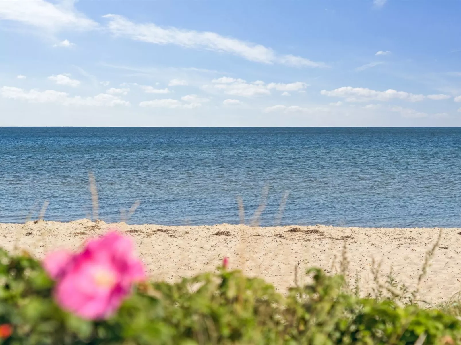 "Elvie" - 150m from the sea