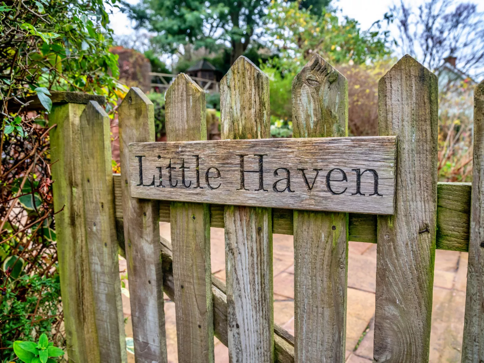 Little Haven