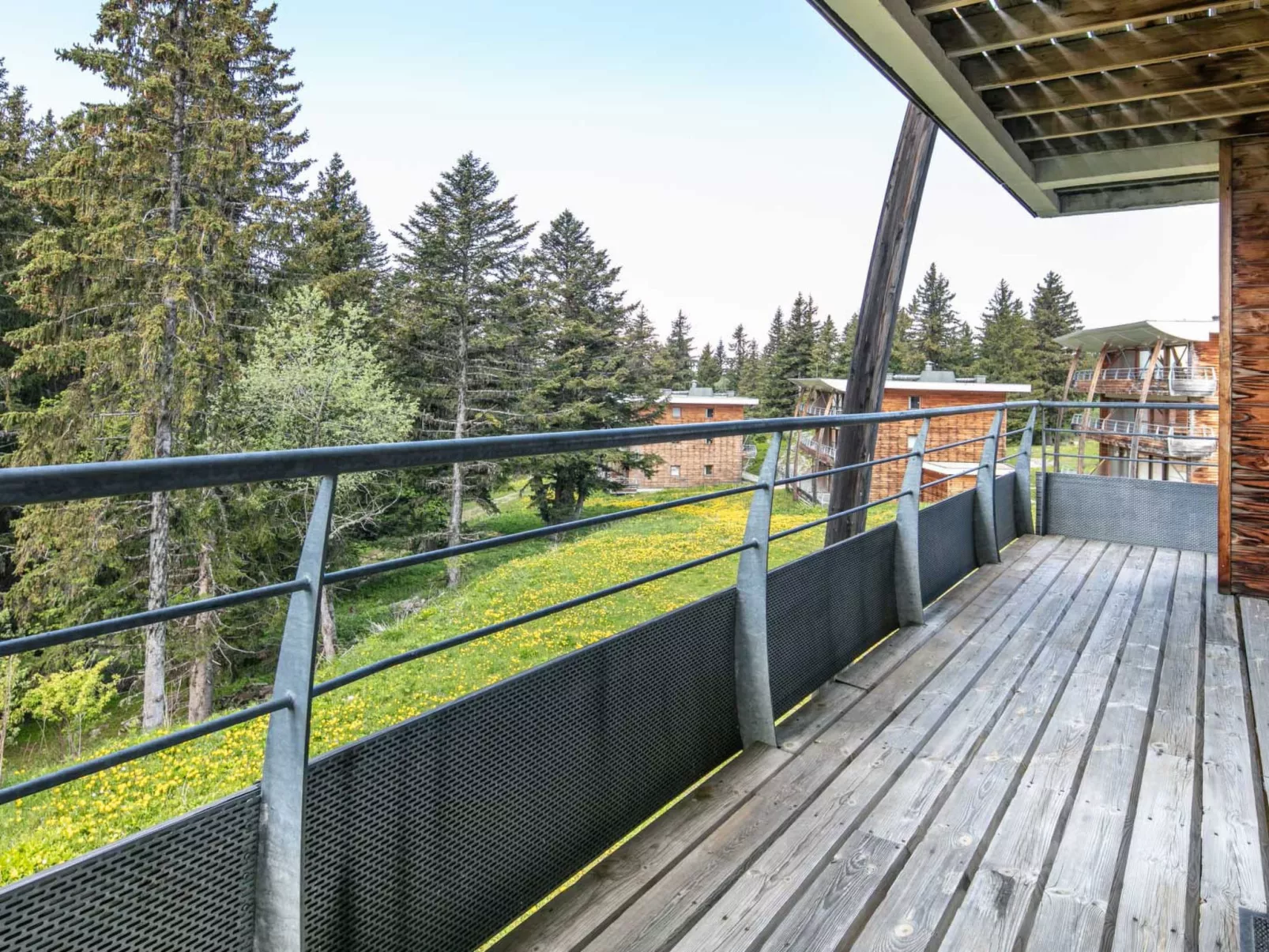 V du Bachat Asters E