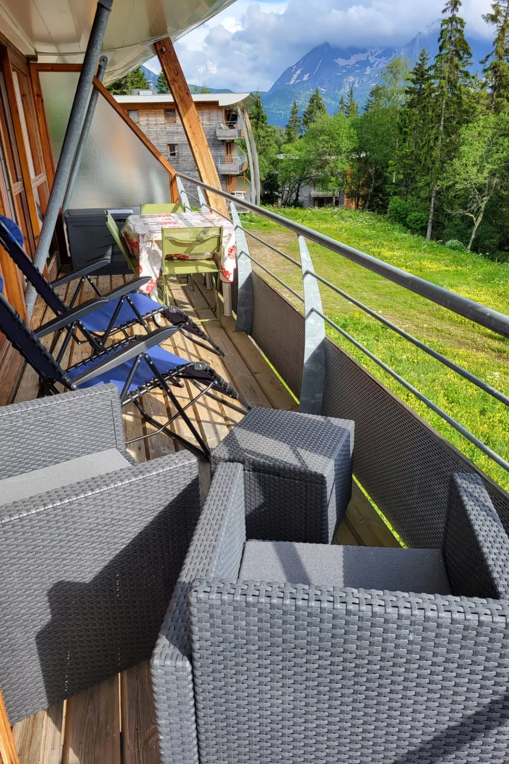 V du Bachat Asters B