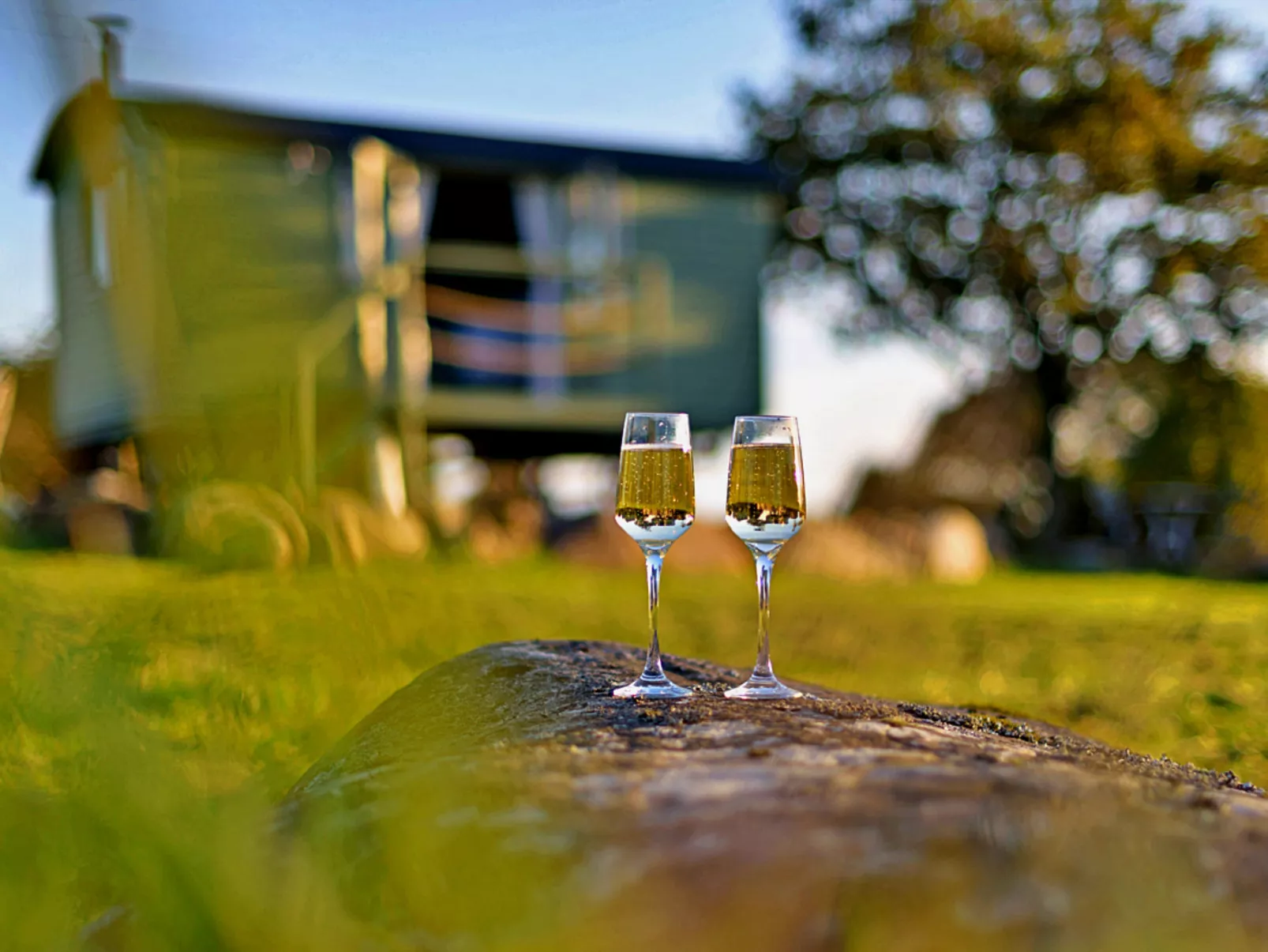 'Angharad' Poachers Hut