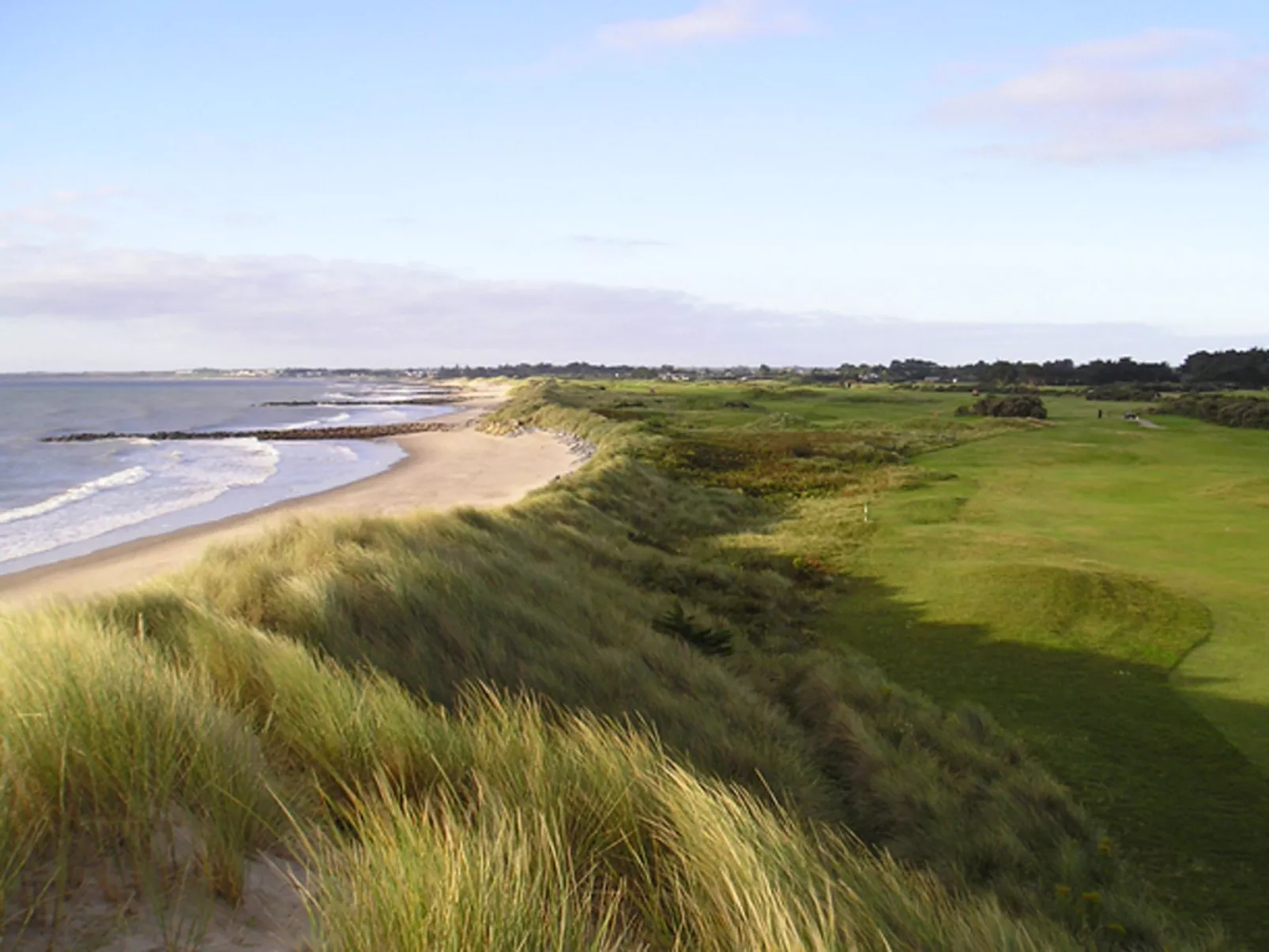 Willow Grove HC No. 3