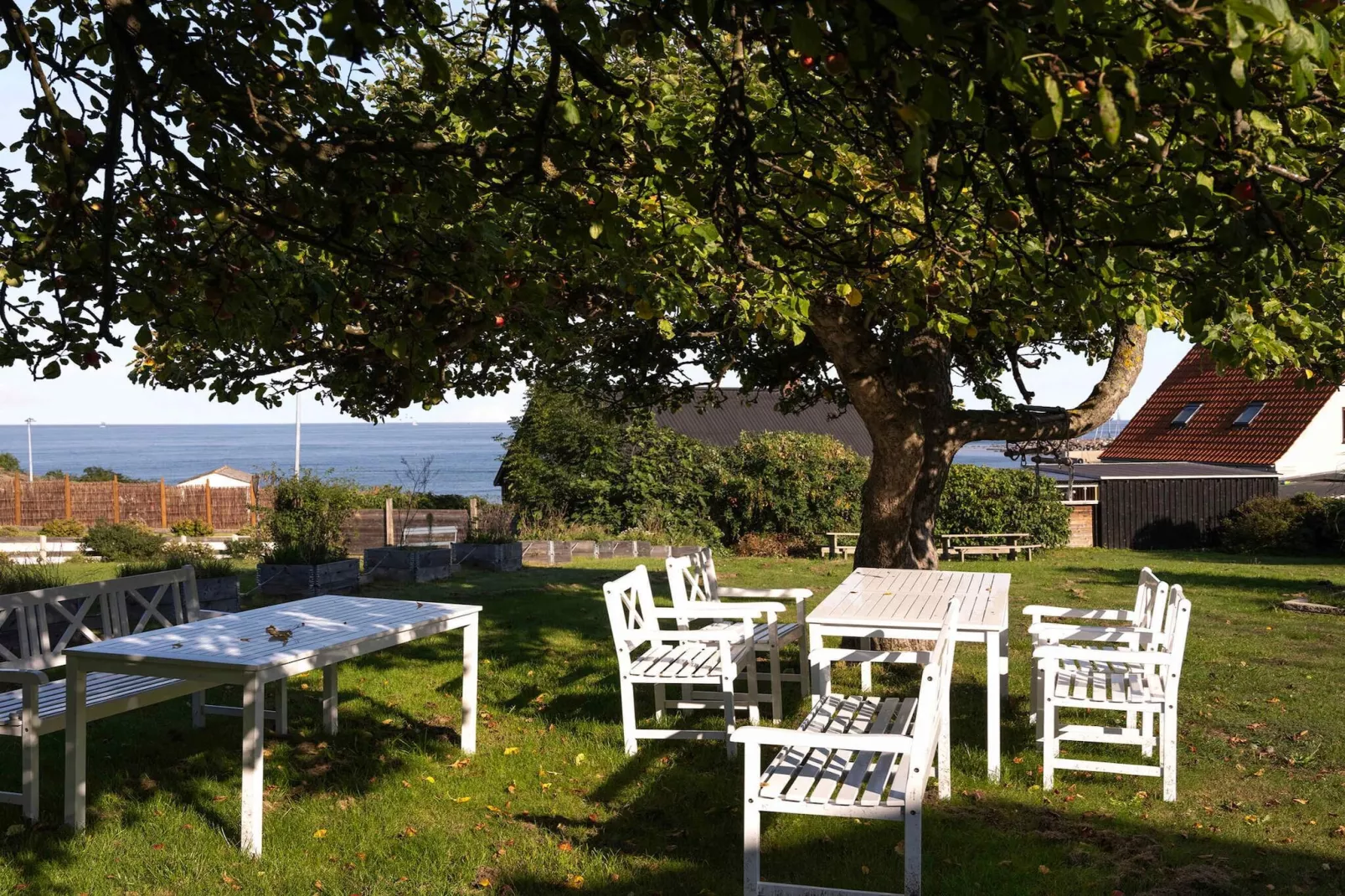 5 sterren vakantie huis in Svaneke