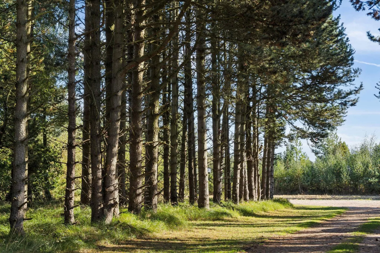 5 sterren vakantie huis in Væggerløse