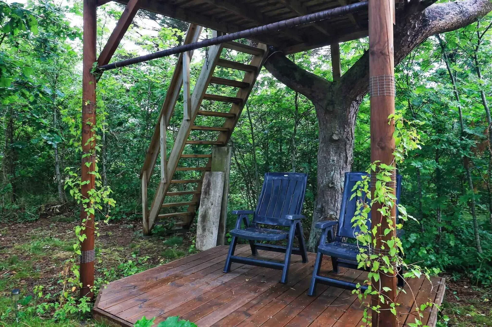 5 sterren vakantie huis in Hals