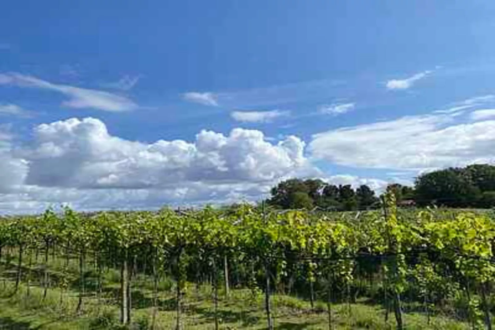 4 sterren vakantie huis in Karrebæksminde