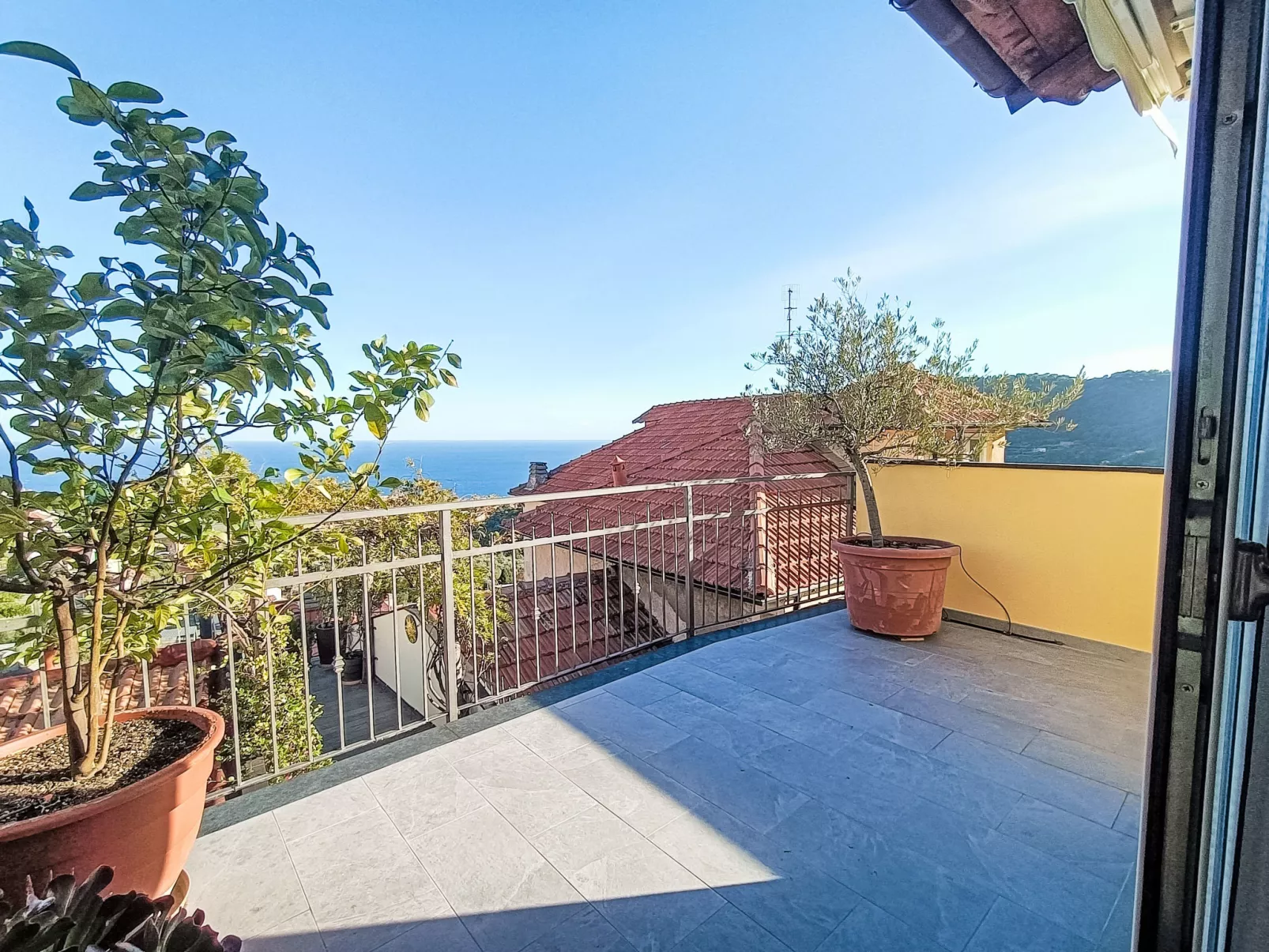 Terrazza con glicine