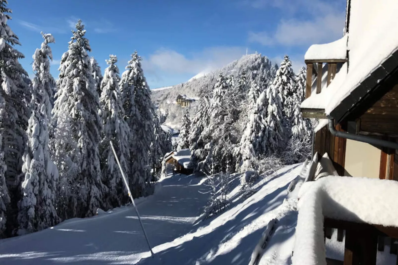 Appartements à Le Lioran