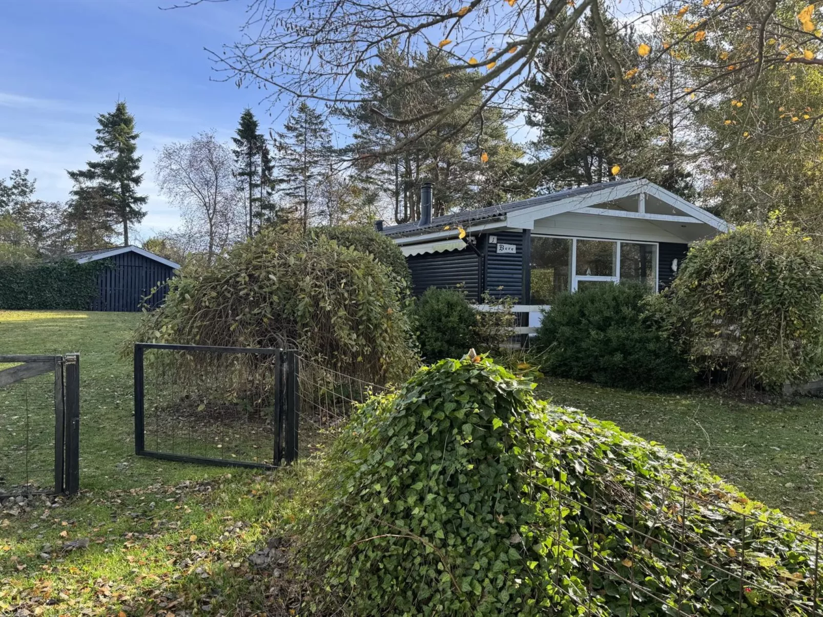 "Felicia" -  from the sea