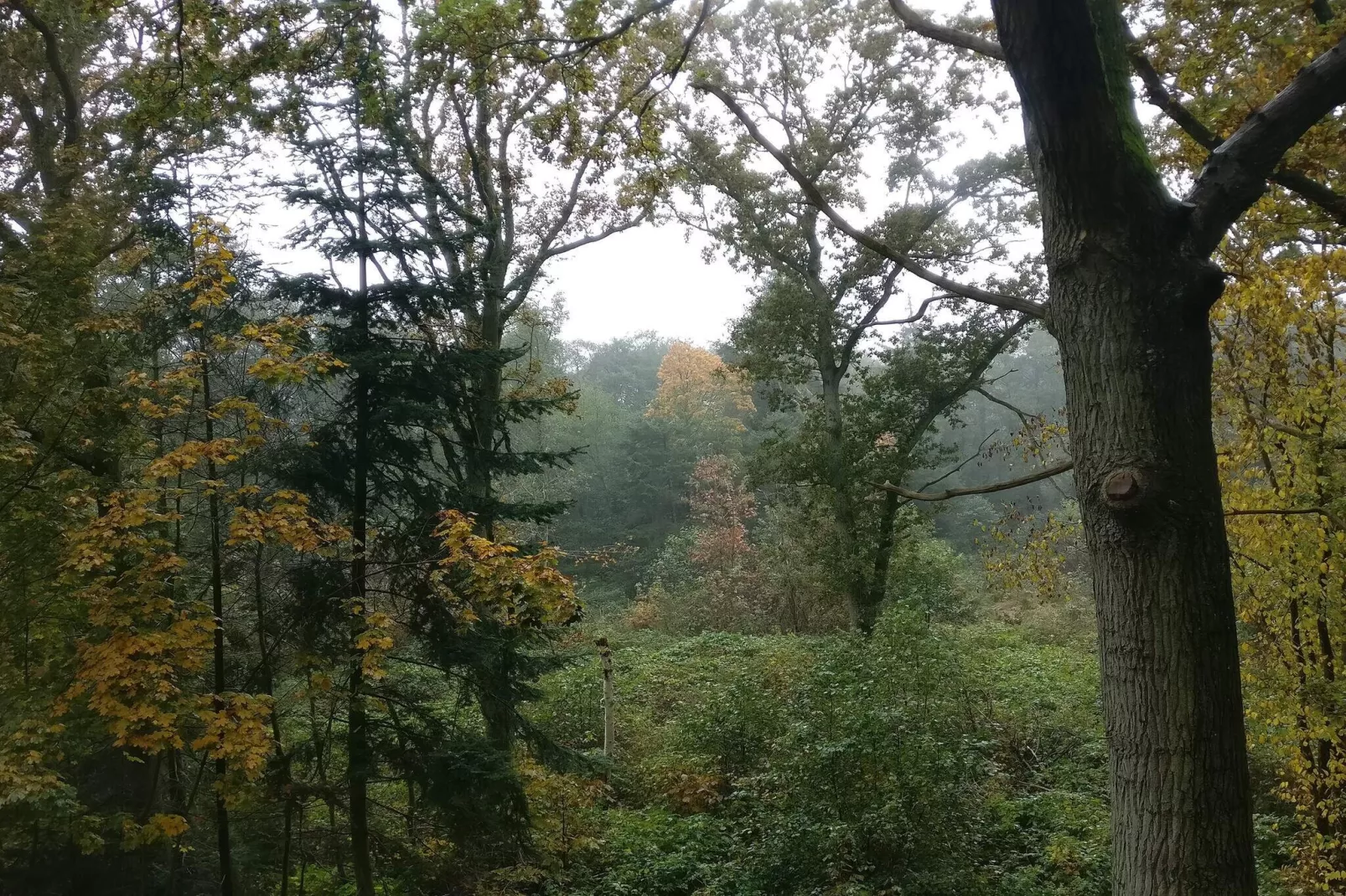 6 persoons vakantie huis in Hadsund