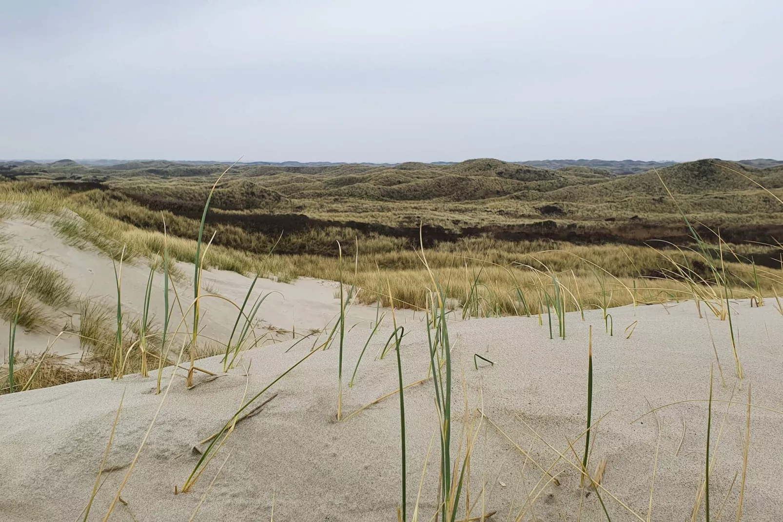 Luxe oase in Blavand-By Traum