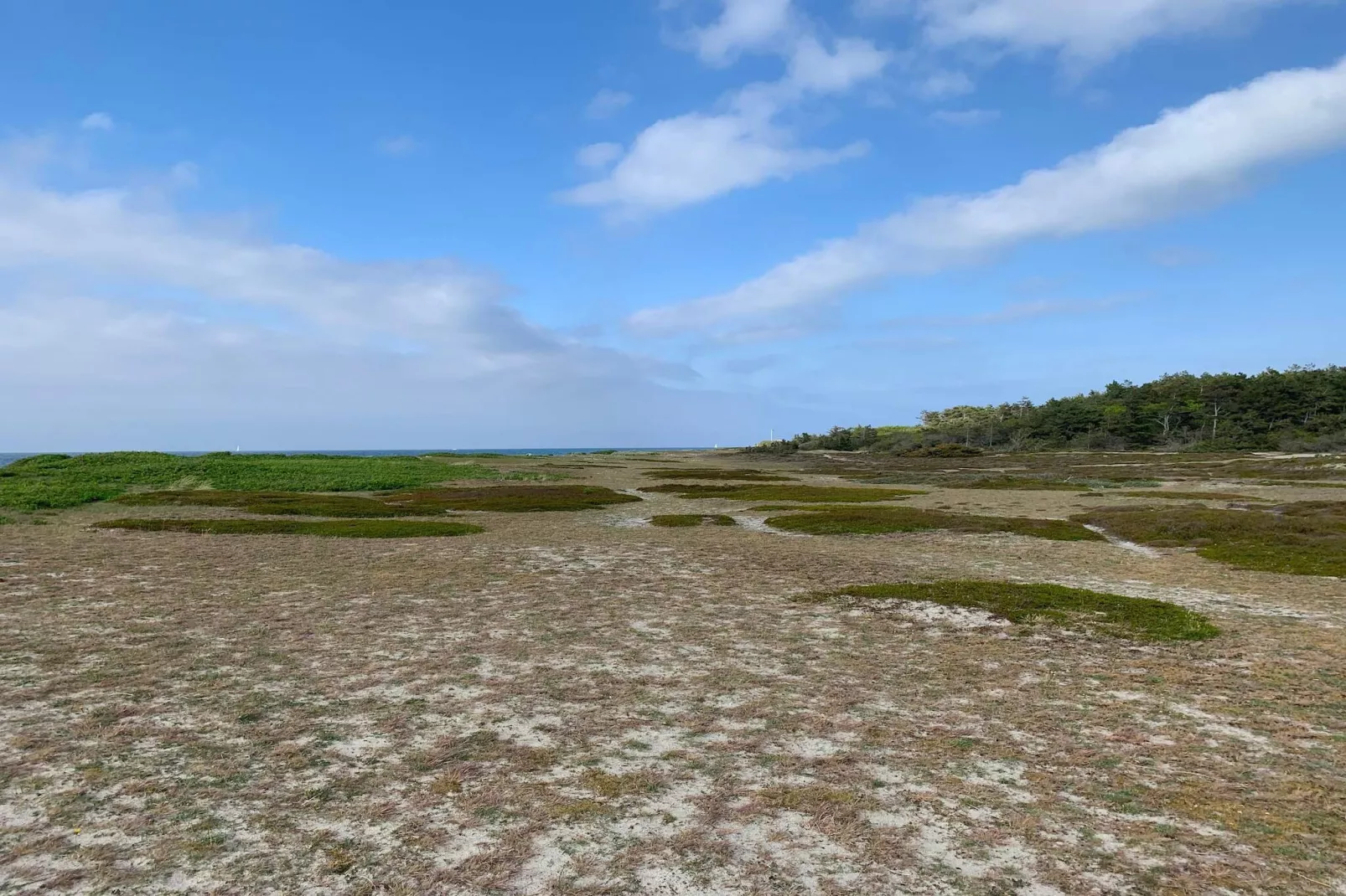 Gezellig toevluchtsoord in Rorvig Haven-By Traum-Niet-getagd