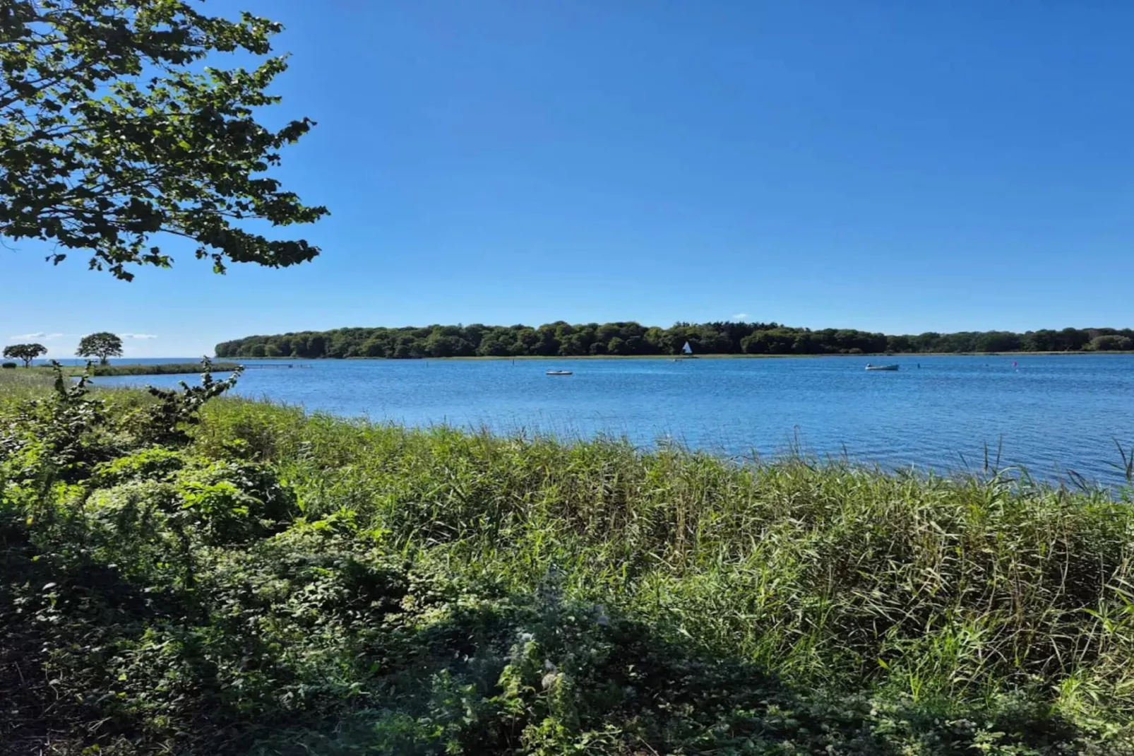 8 persoons vakantie huis in Nysted-Waterzicht