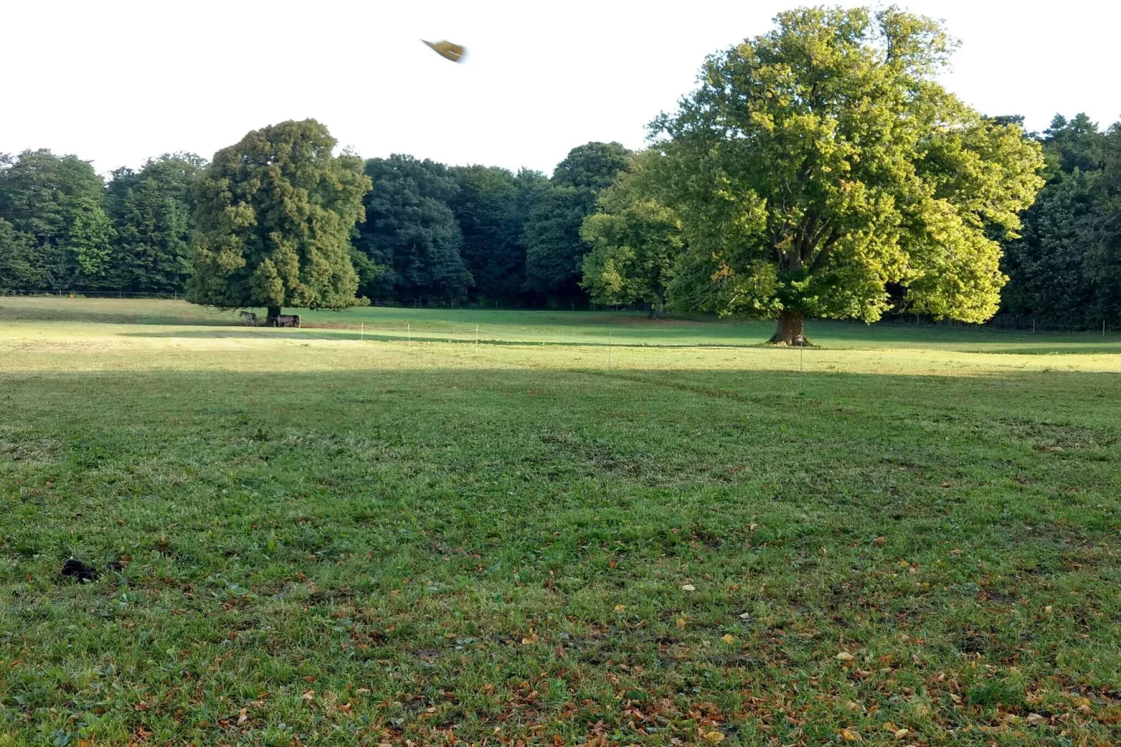 Kustcharme in Boged-By Traum-Niet-getagd