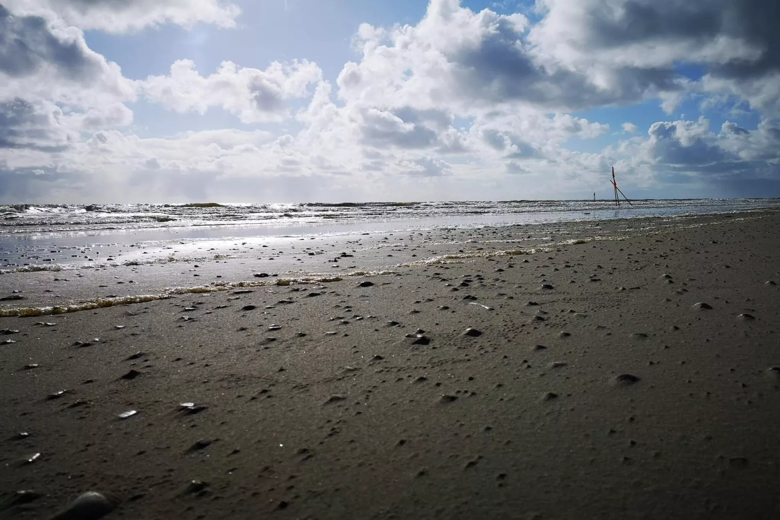 6 persoons vakantie huis in Blåvand-Waterzicht