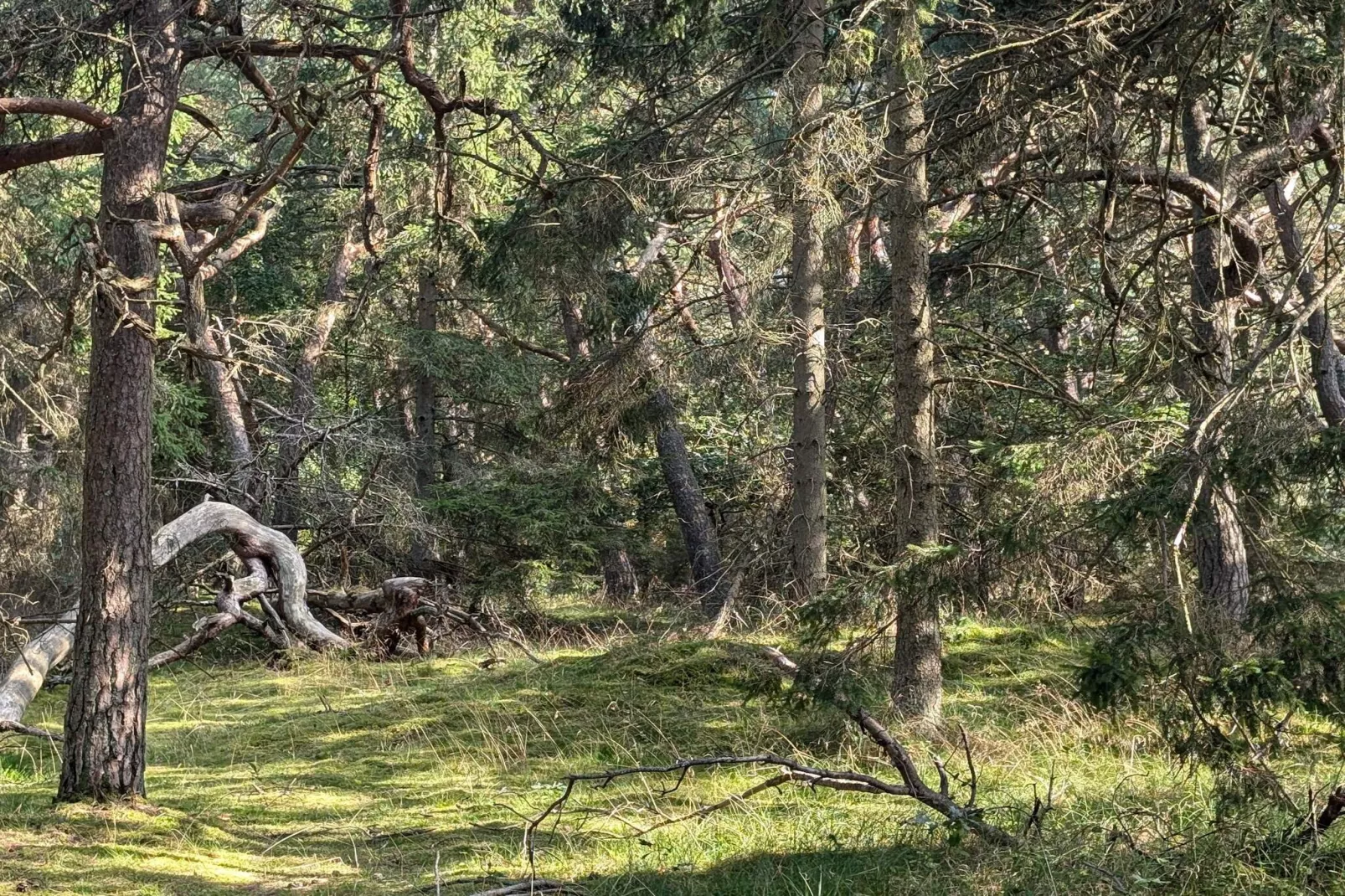 24 persoons vakantie huis in Frederiksværk-Niet-getagd