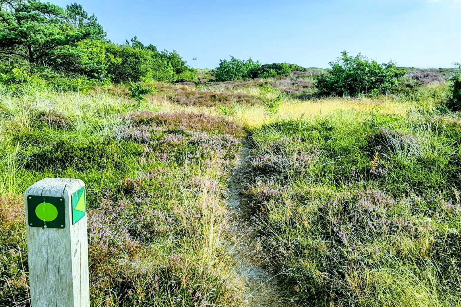 7 persoons vakantie huis in Grenaa-Niet-getagd