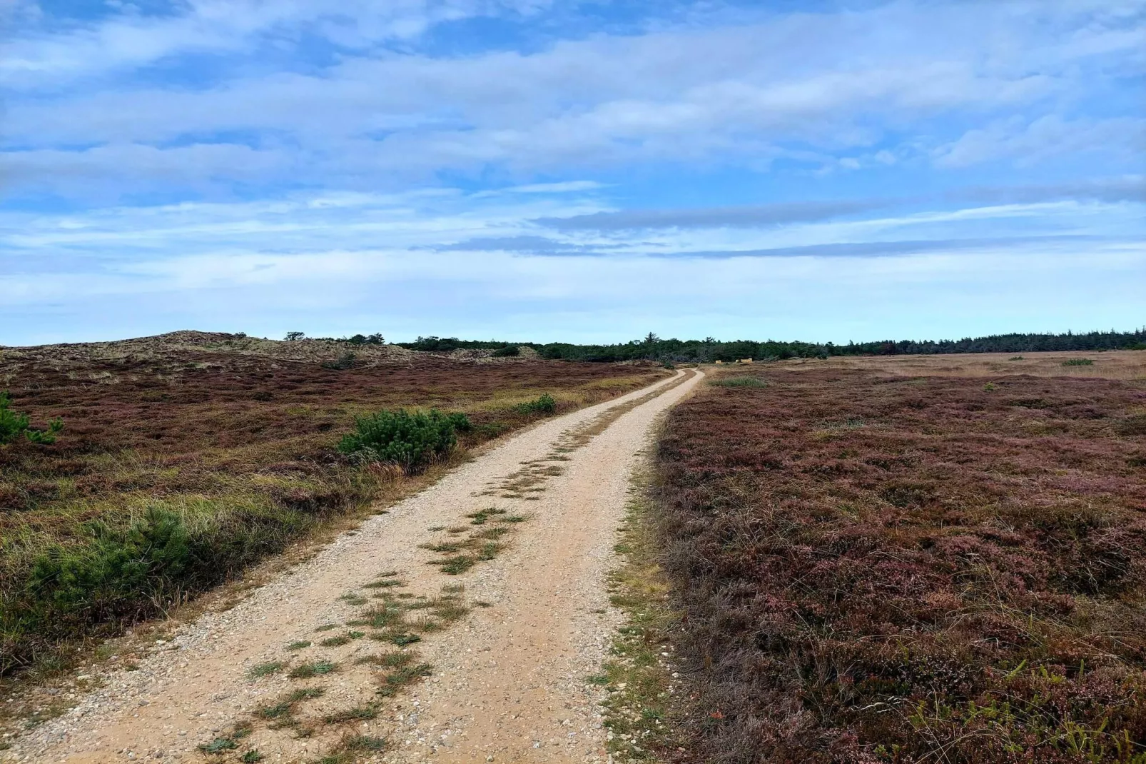 4 persoons vakantie huis in Nørre Nebel-Niet-getagd