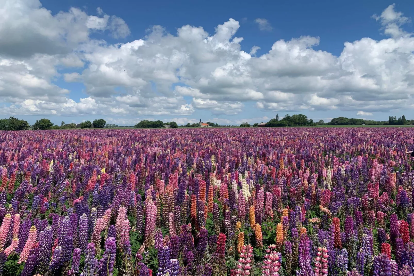 Historische Watertoren Toevluchtsoord-By Traum-Niet-getagd