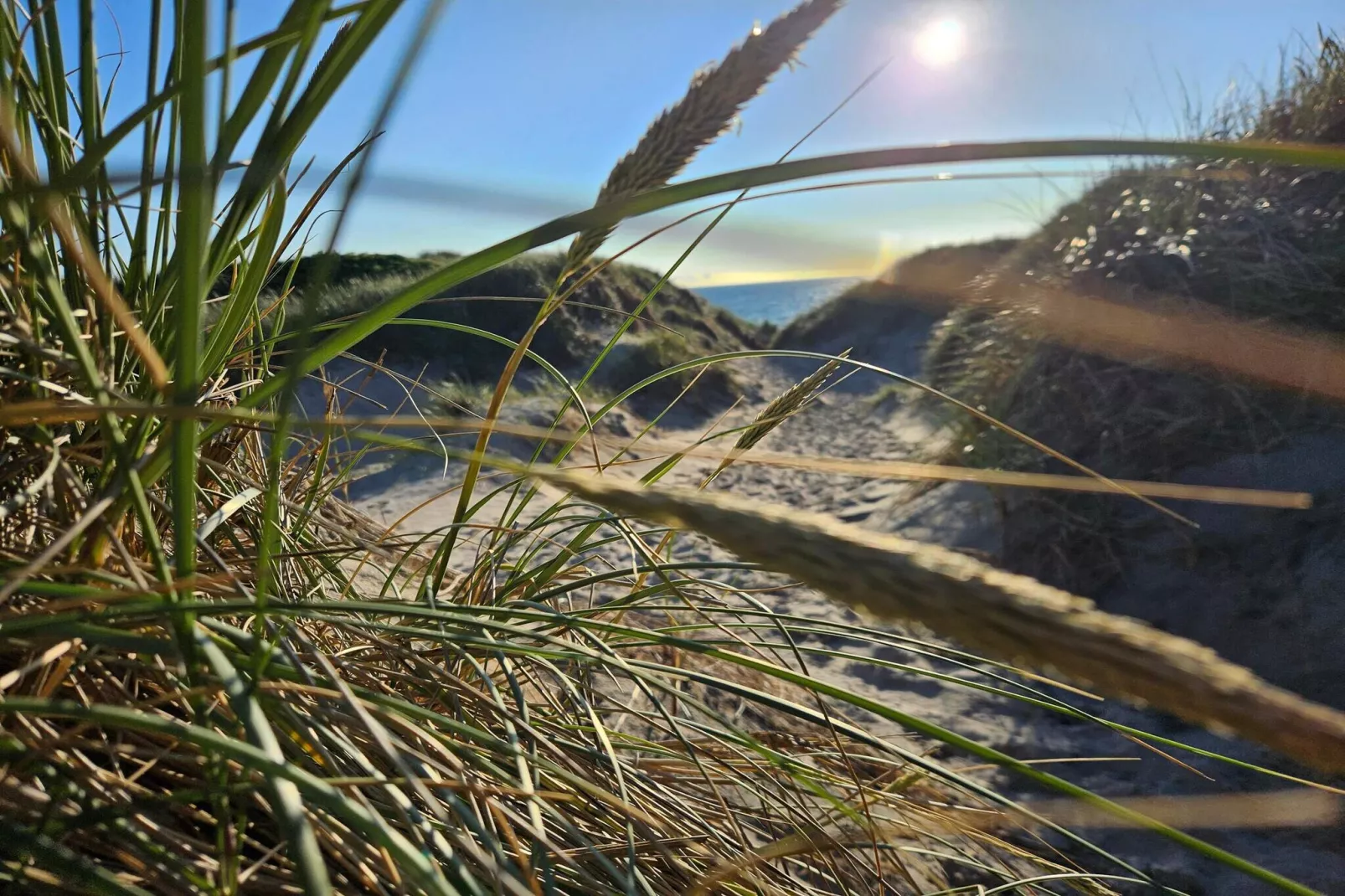 8 persoons vakantie huis in Ringkøbing-Niet-getagd