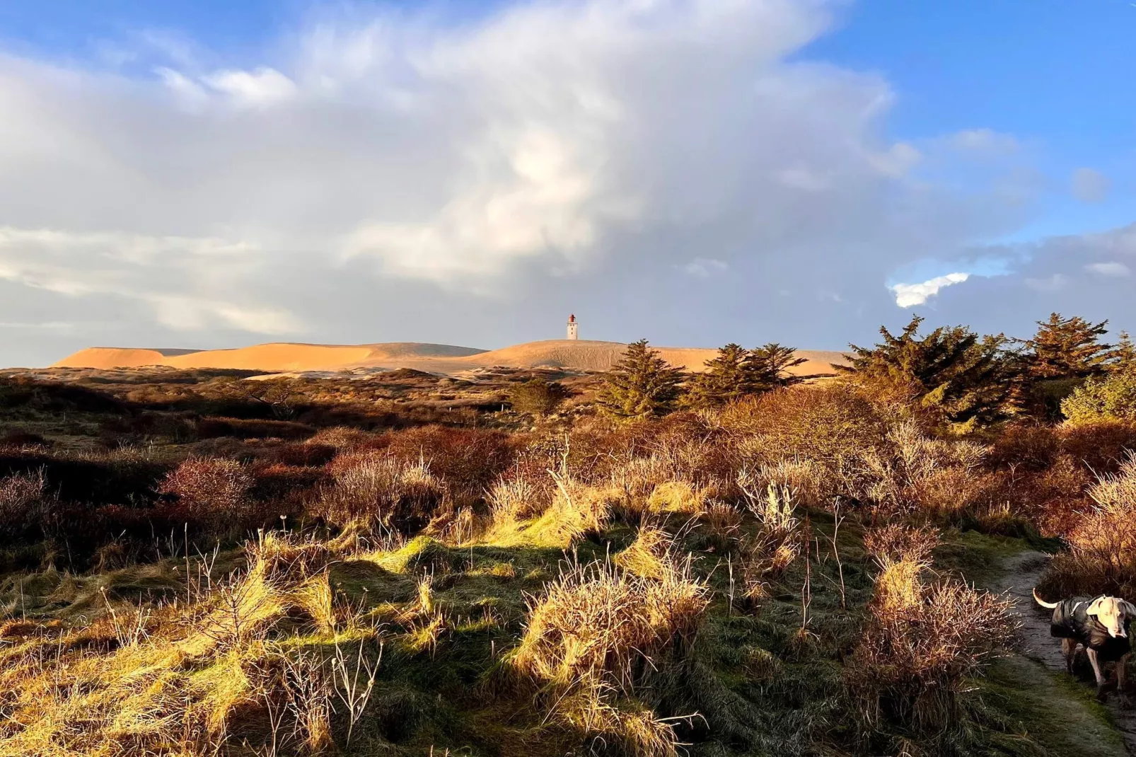 6 persoons vakantie huis in Hjørring-Niet-getagd