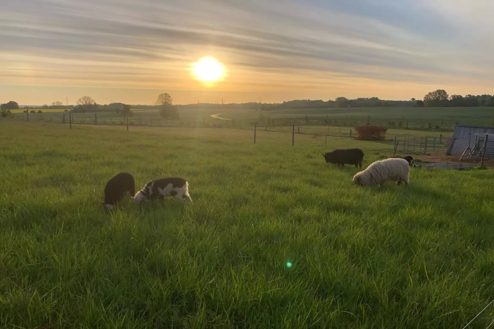 4 persoons vakantie huis in Skibby-Niet-getagd