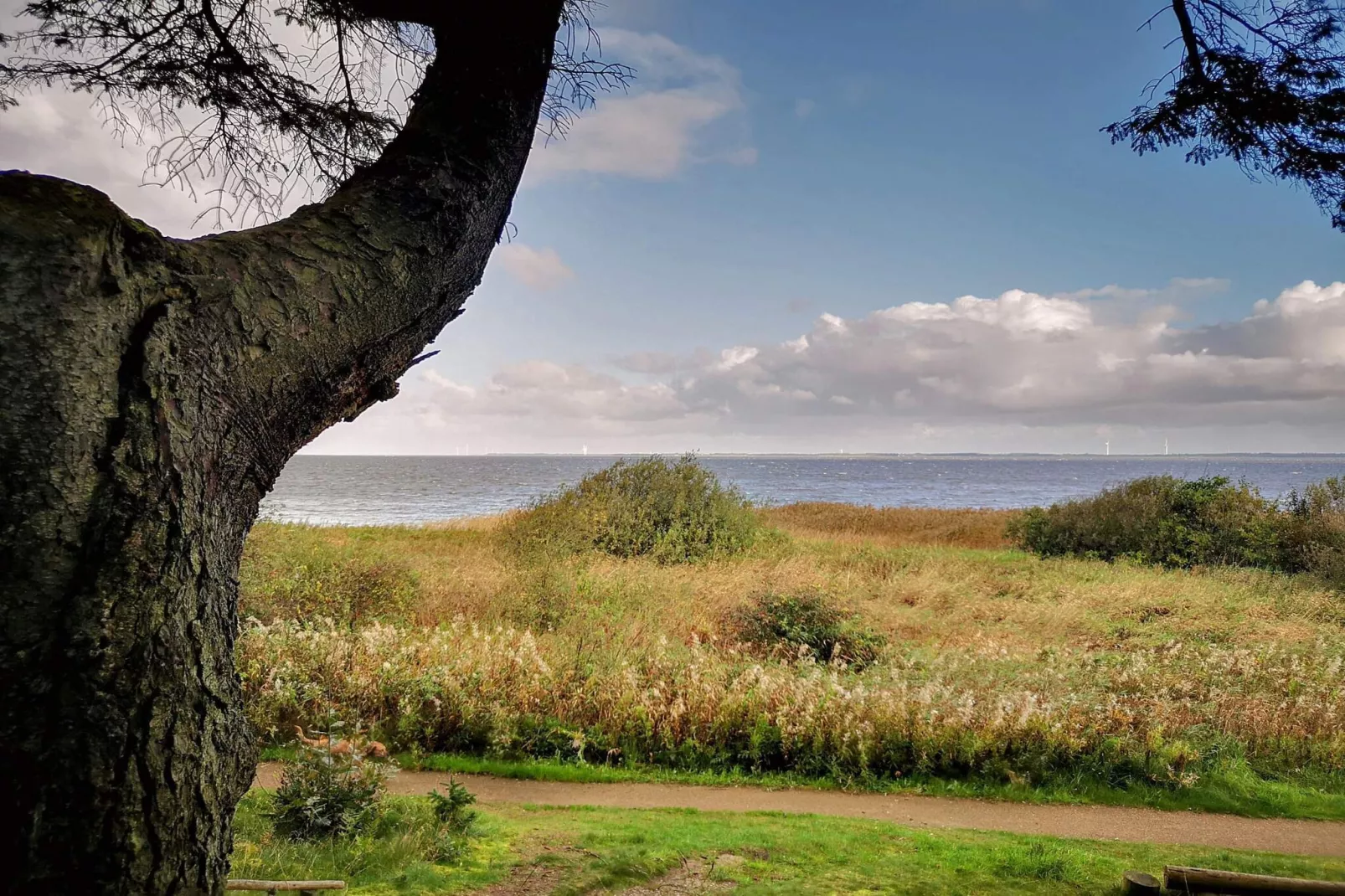 8 persoons vakantie huis in Ulfborg