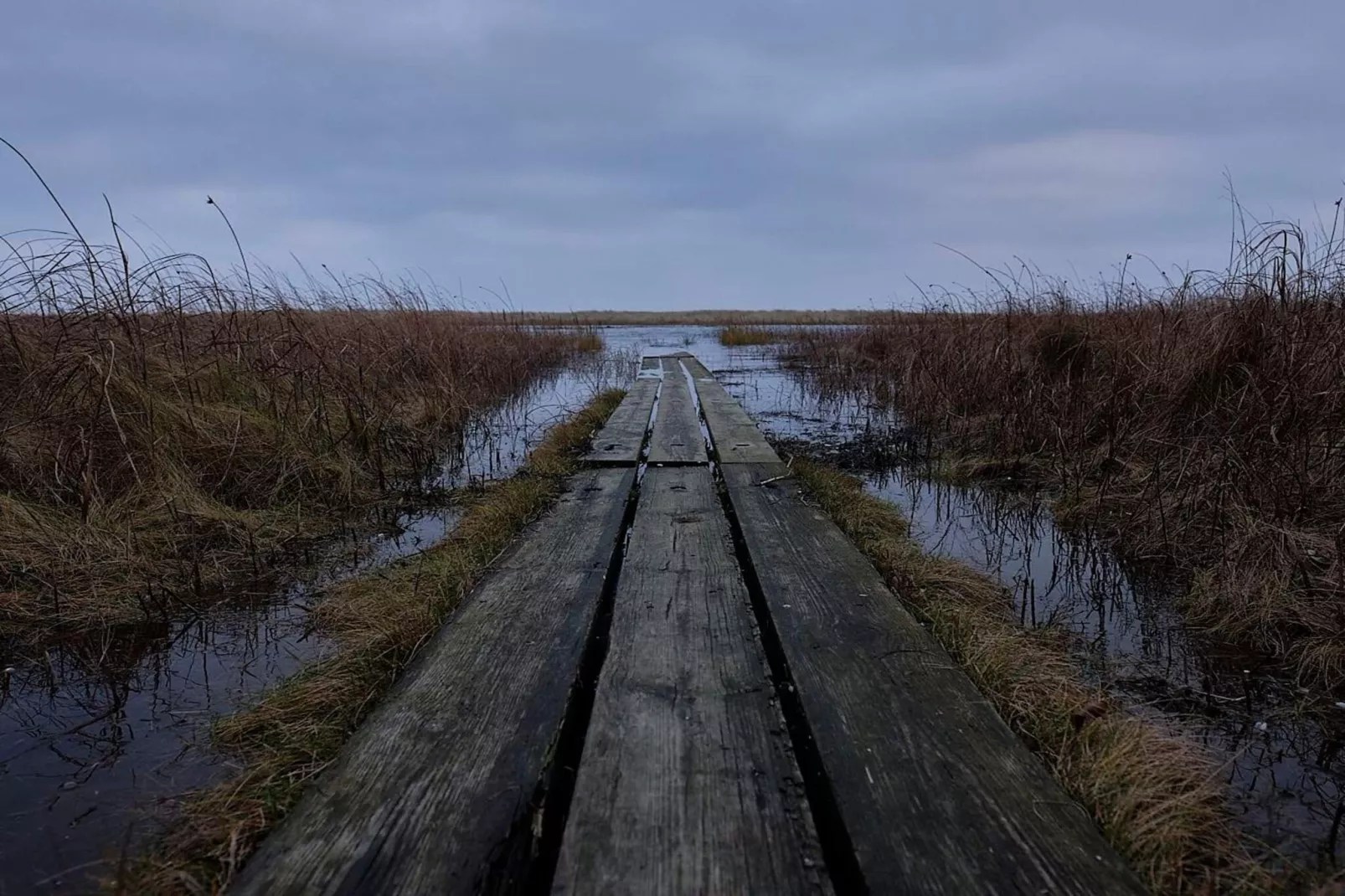 Kustsereniteit in Hals-By Traum-Niet-getagd