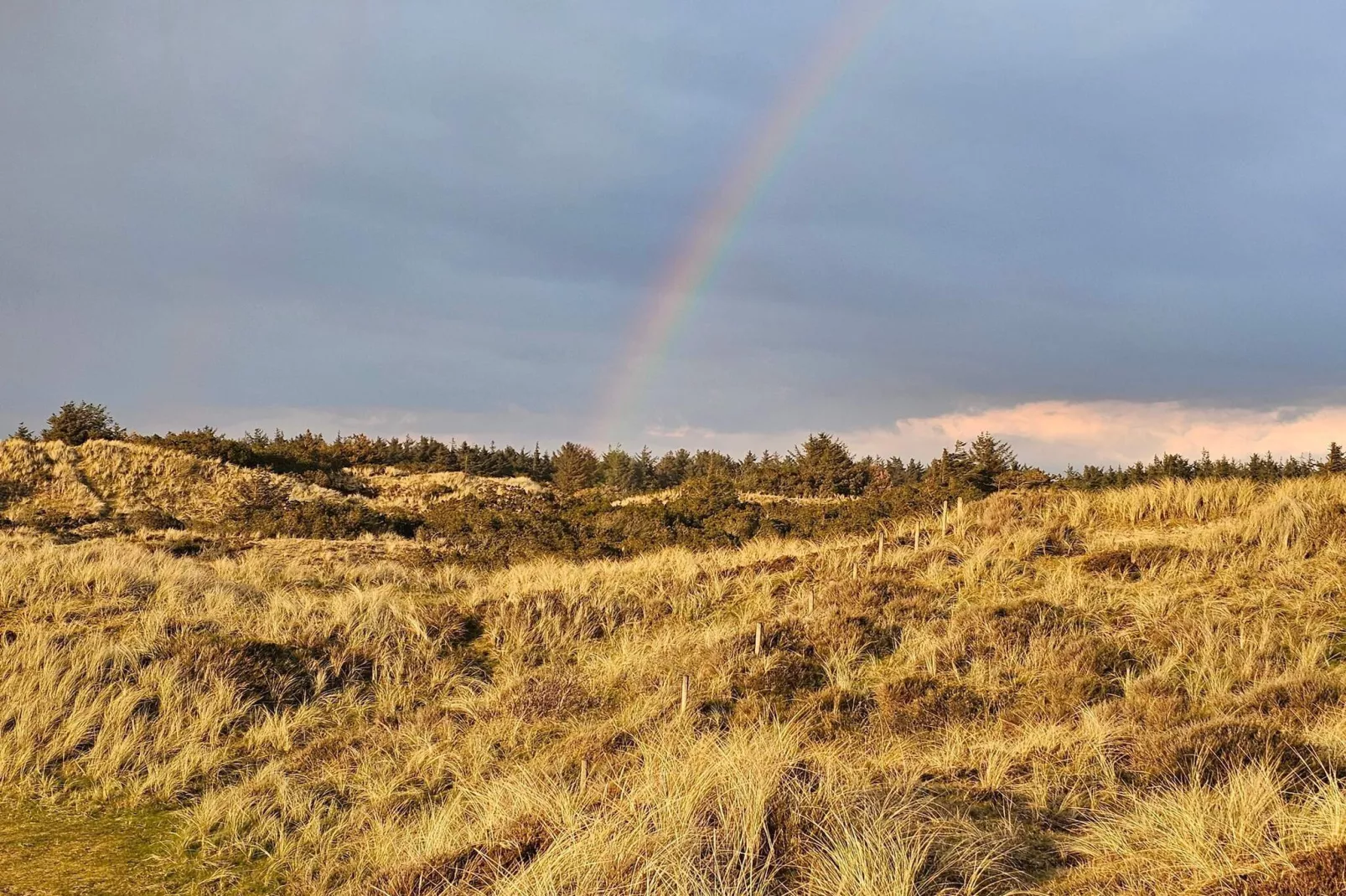 5 persoons vakantie huis in Vejers Strand-Niet-getagd