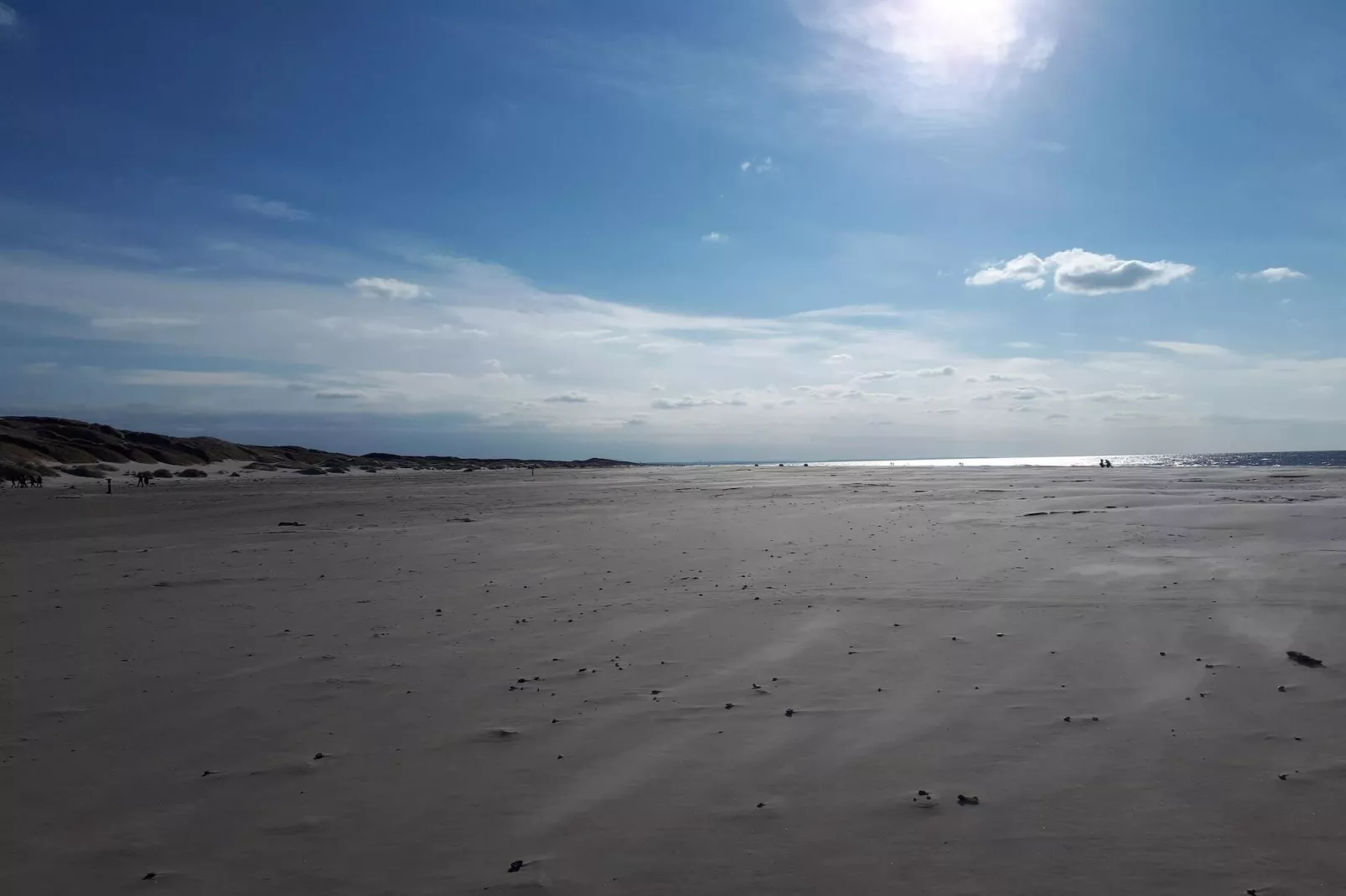 Strandplezier bij Saltum Strand-By Traum-Niet-getagd