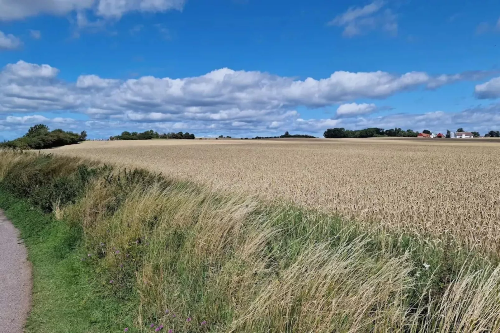 Stijlvolle Zeevilla op Ven-By Traum-Niet-getagd