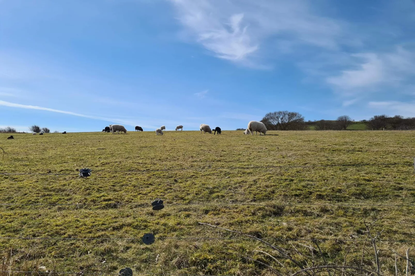 4 persoons vakantie huis in Martofte