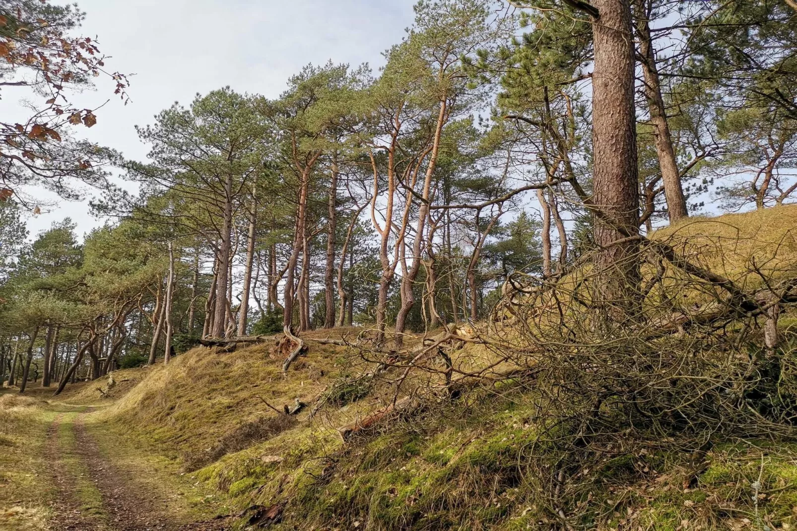 4 persoons vakantie huis in Oksbøl