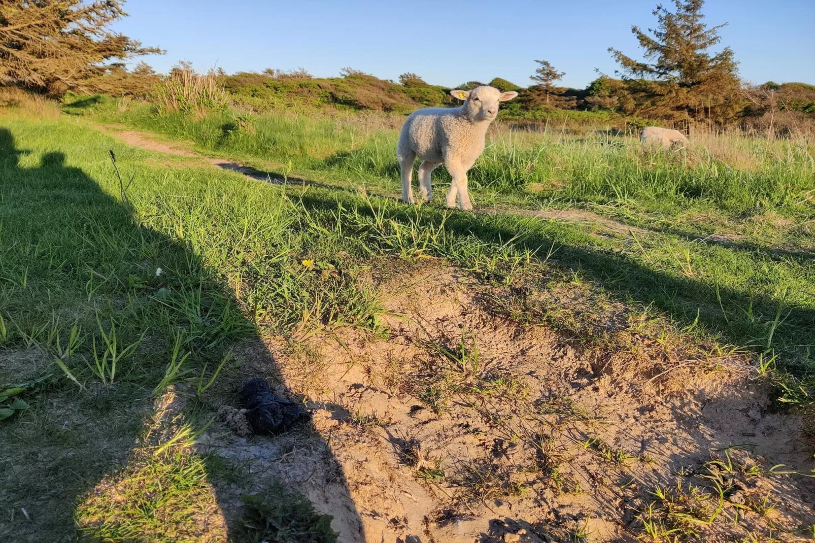 8 persoons vakantie huis in Hjørring-Niet-getagd