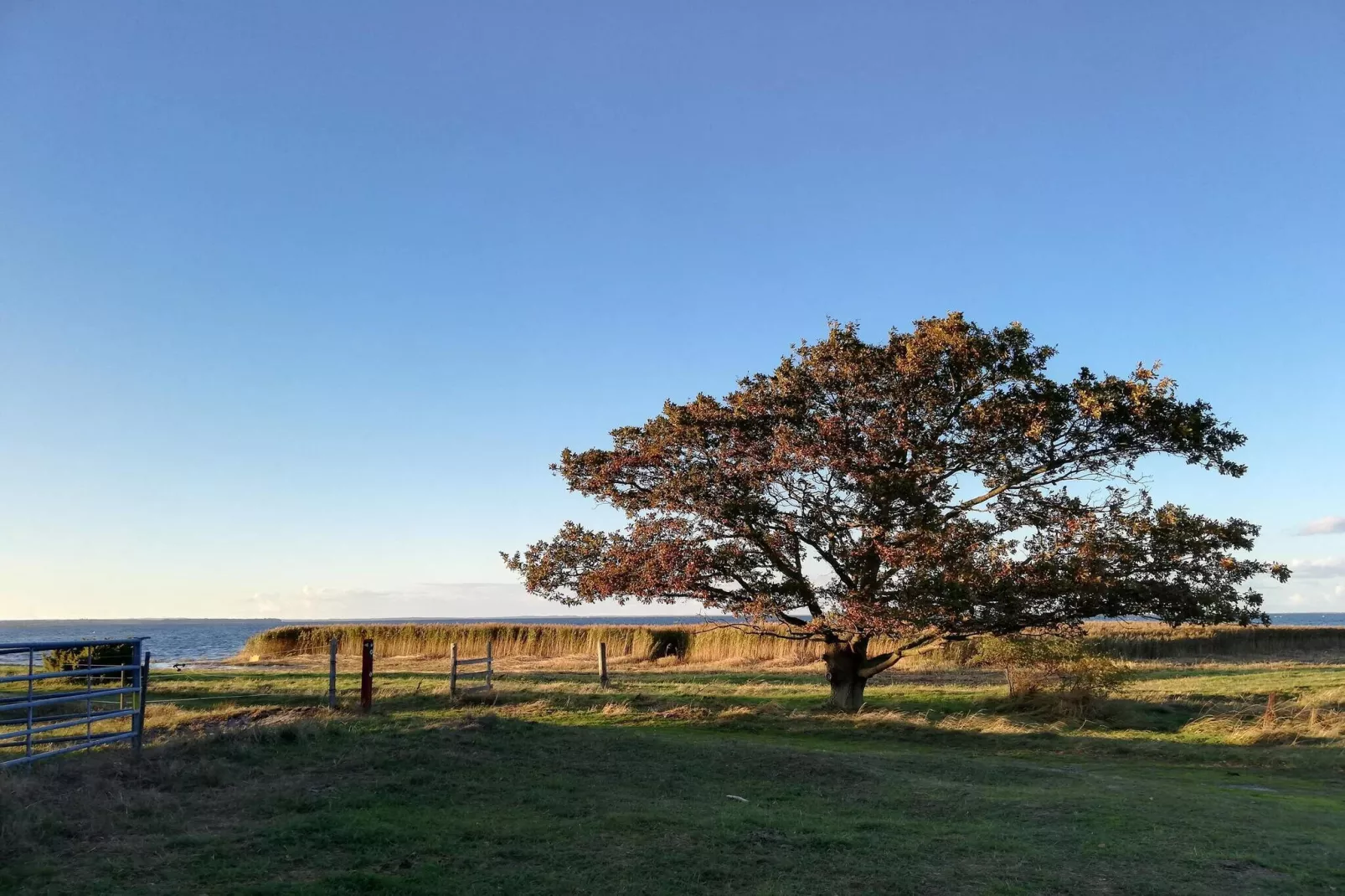 10 persoons vakantie huis in Stege