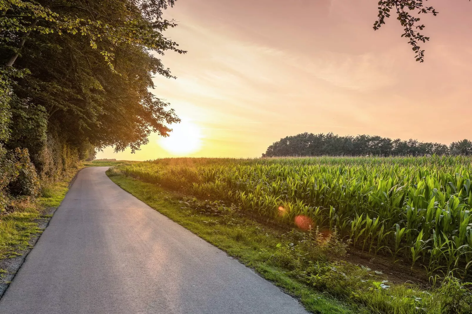 4 persoons vakantie huis in Tranekær-Buitenlucht