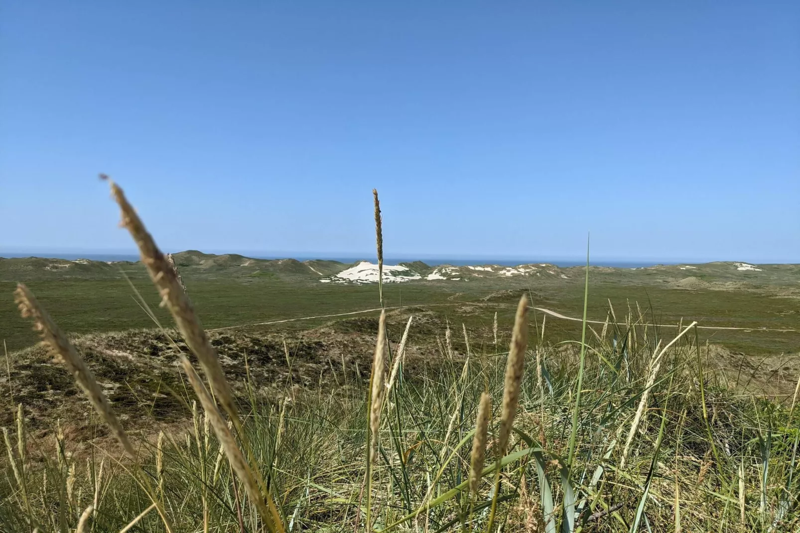 5 persoons vakantie huis in Hvide Sande