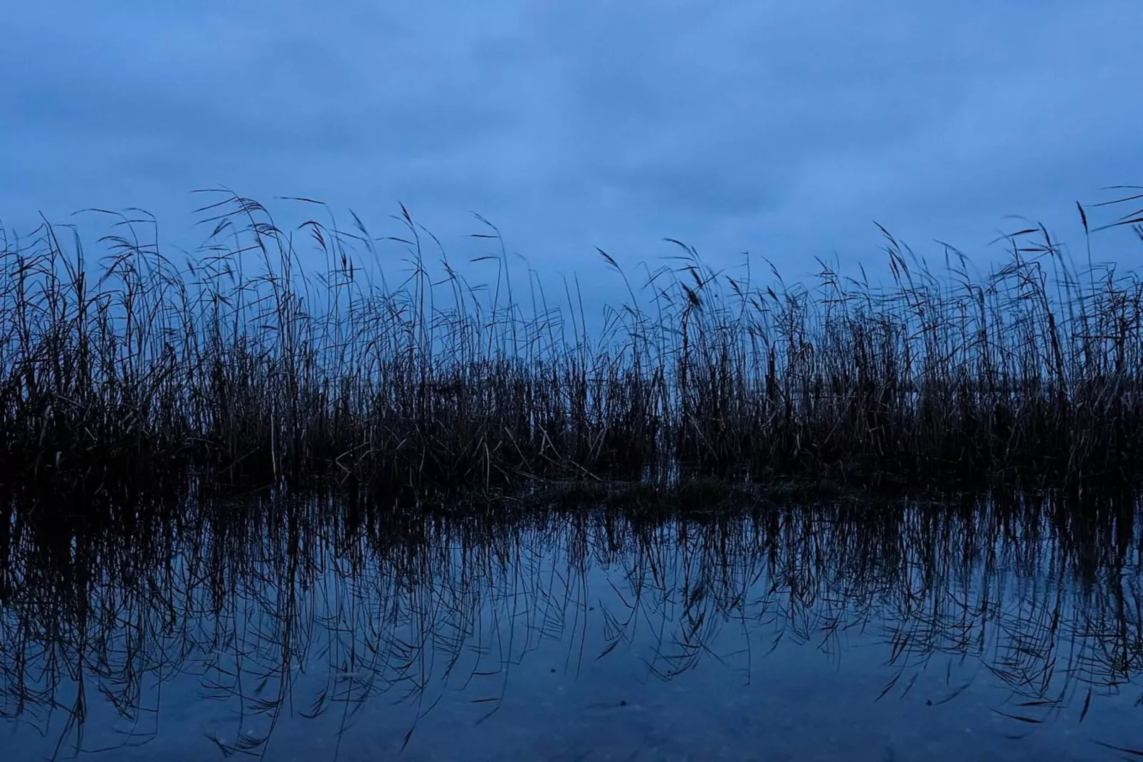 Afgelegen toevluchtsoord in Koldkaer -- By Traum Ferienwohnungen-Niet-getagd