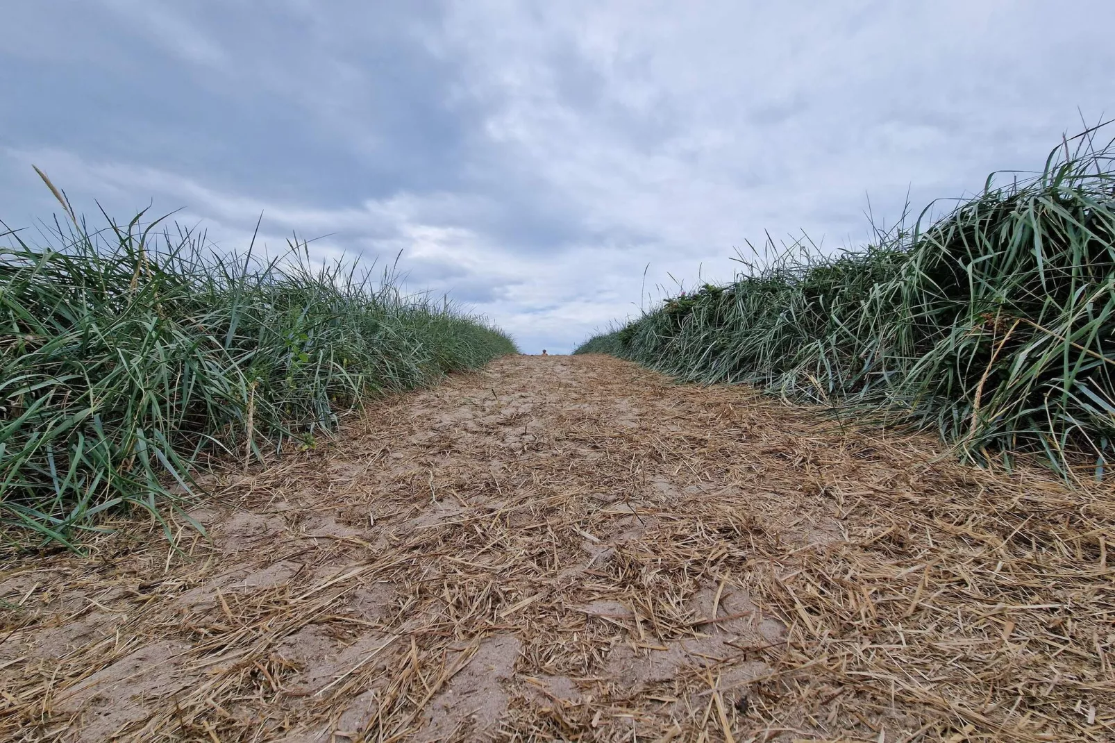 Ruim toevluchtsoord met uitzicht -- By Traum Ferienwohnungen-Niet-getagd