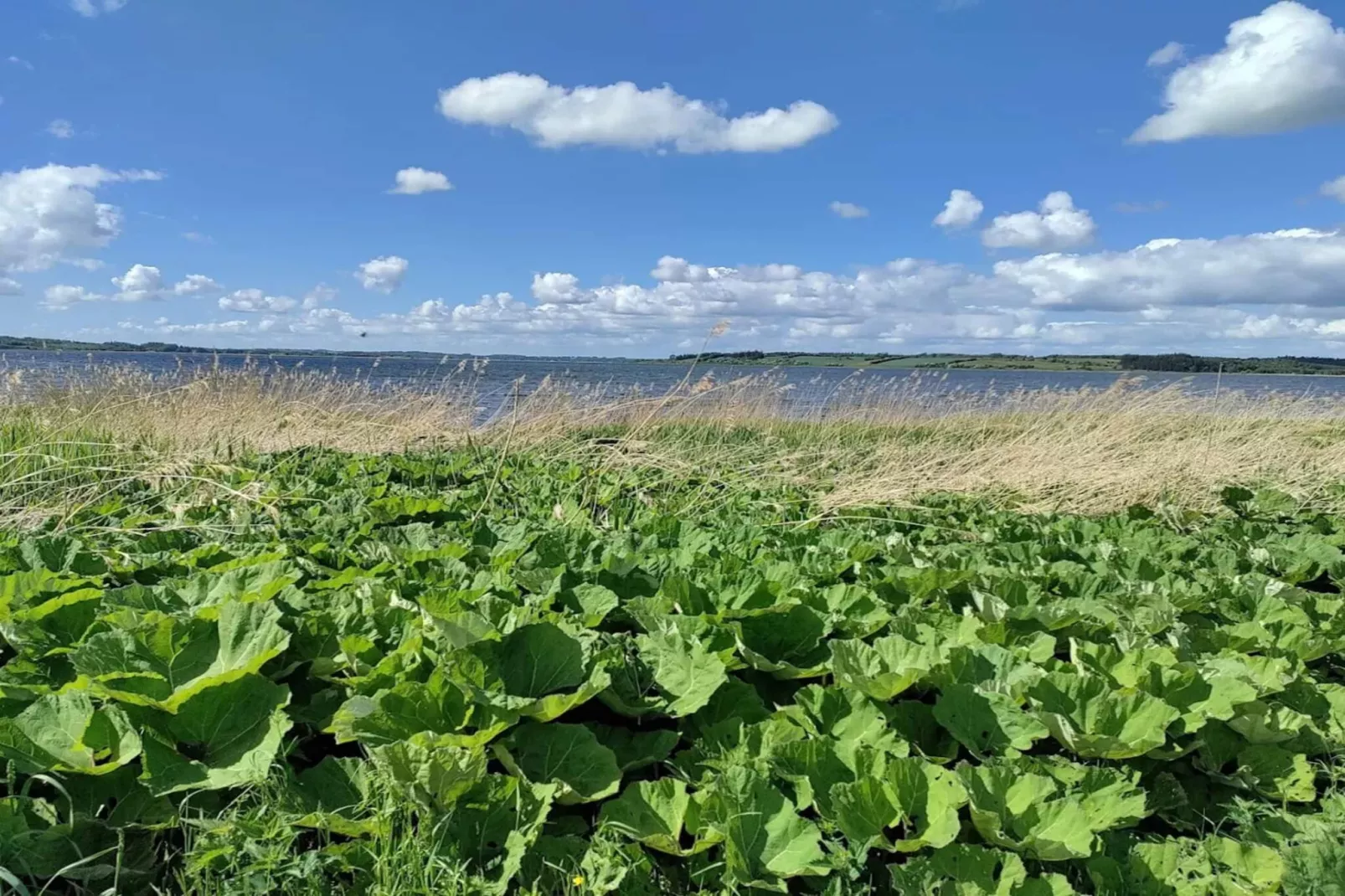 8 persoons vakantie huis in Løgstrup-By Traum