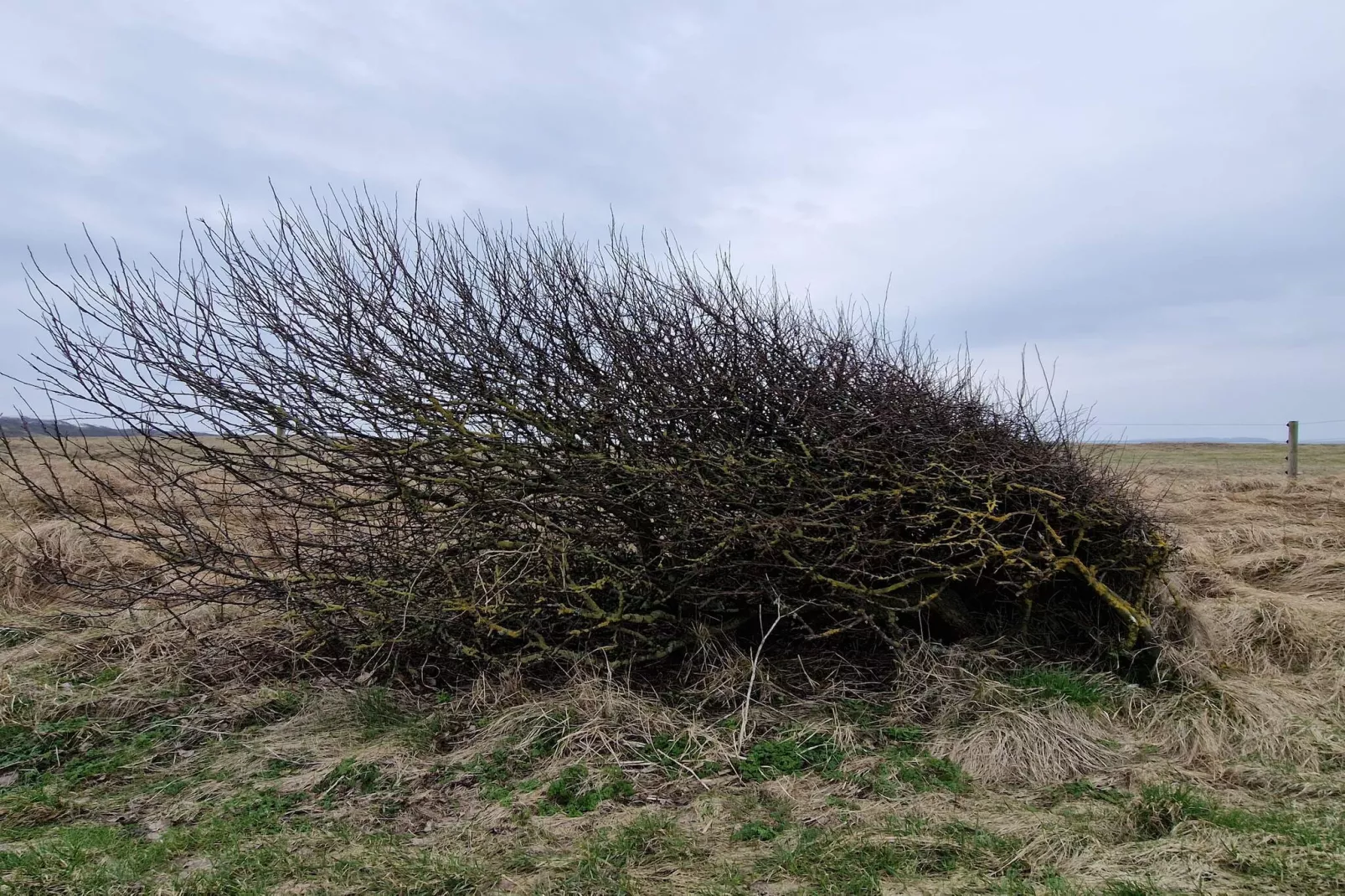 6 persoons vakantie huis in Spøttrup-By Traum-Niet-getagd