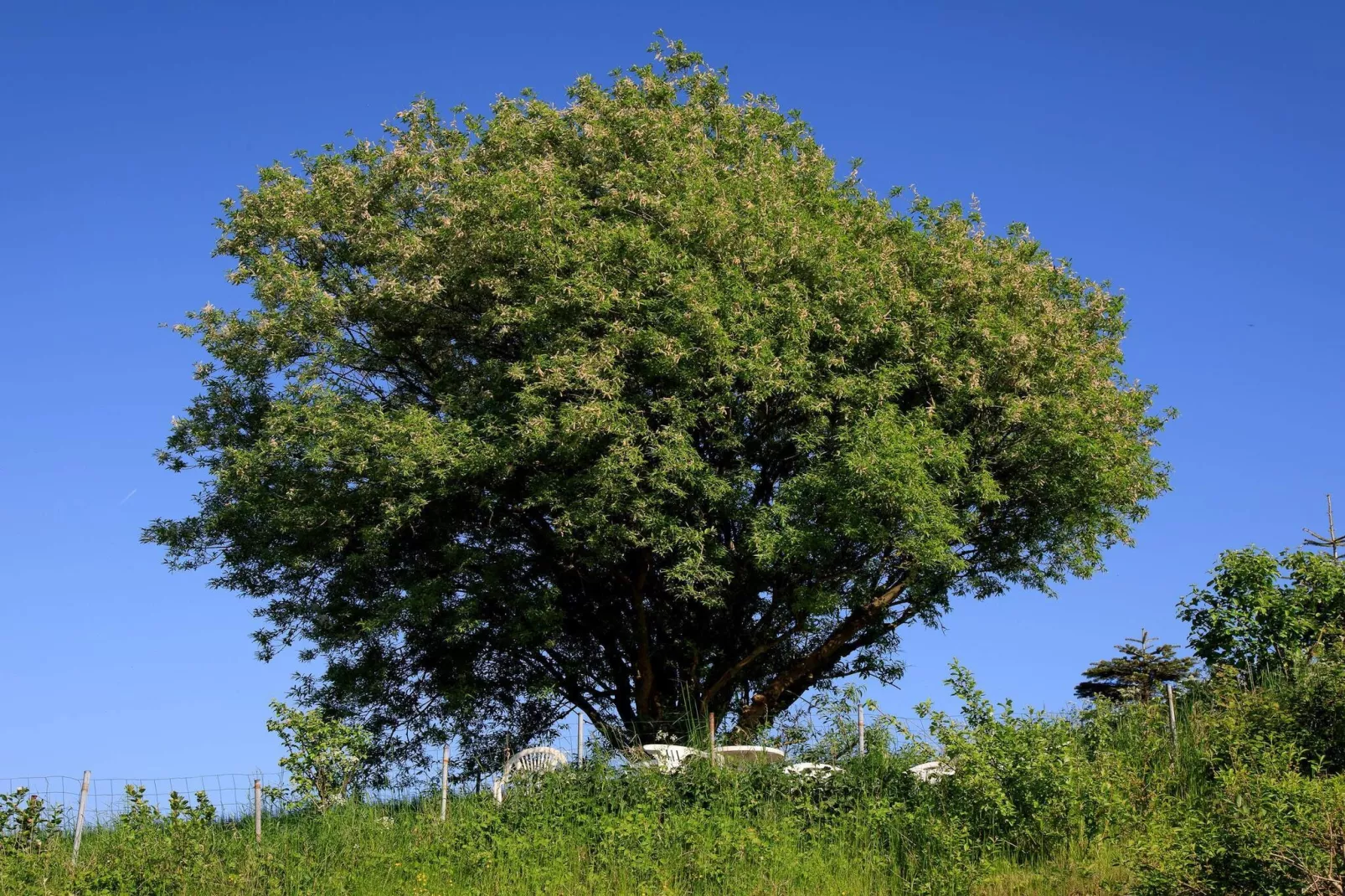 6 persoons vakantie huis in Knebel-By Traum-Niet-getagd