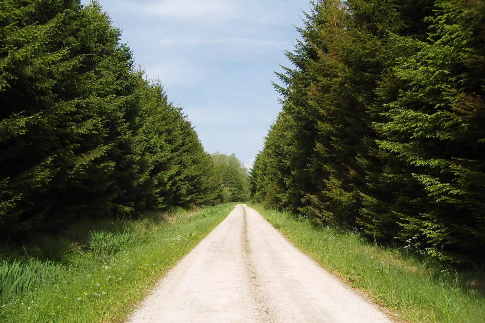 6 persoons vakantie huis in Storvorde-By Traum-Niet-getagd