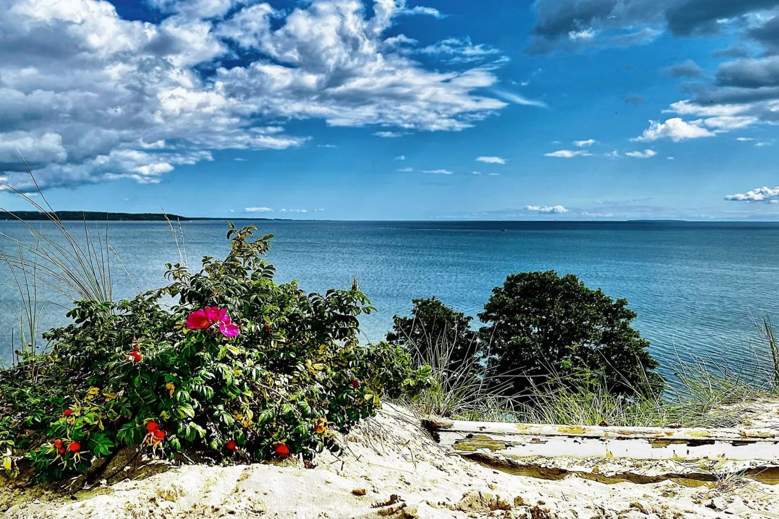 9 persoons vakantie huis in Børkop-By Traum